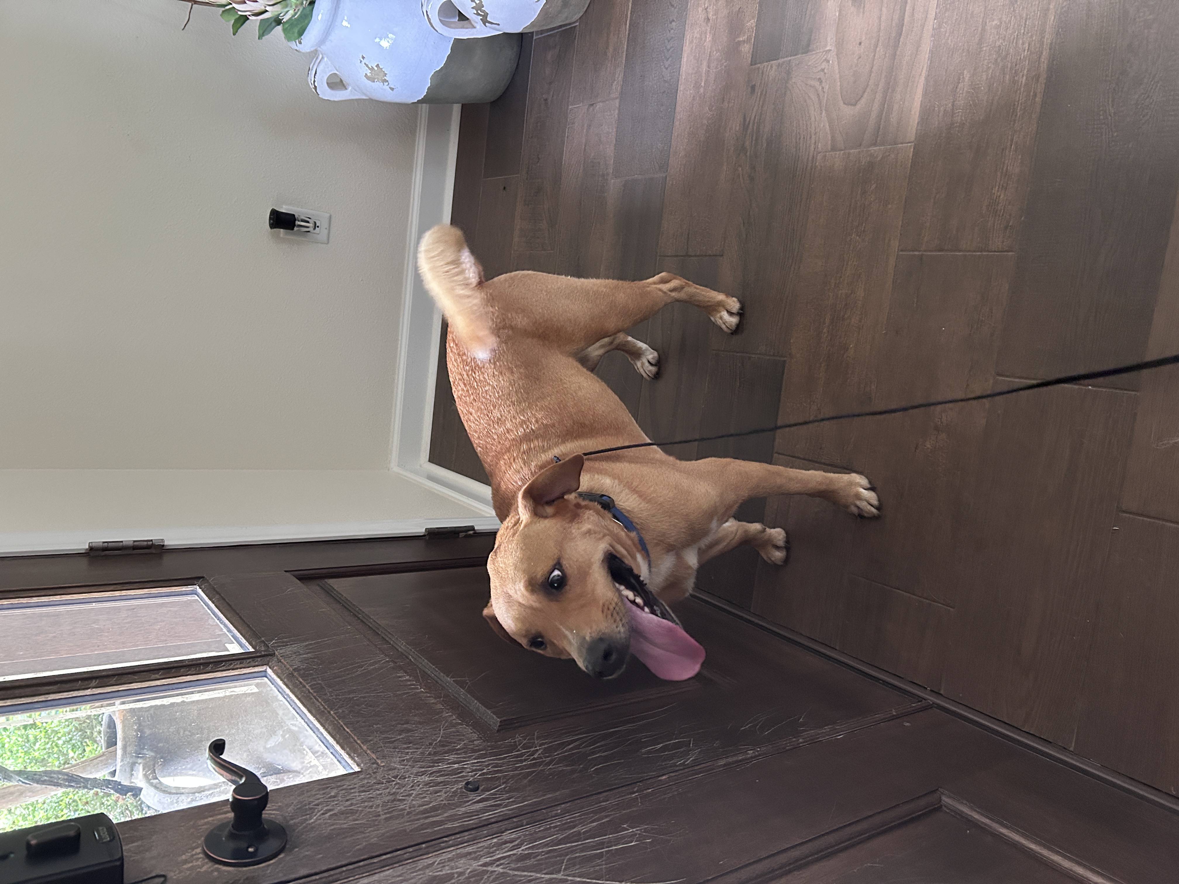 Just Hanging Out