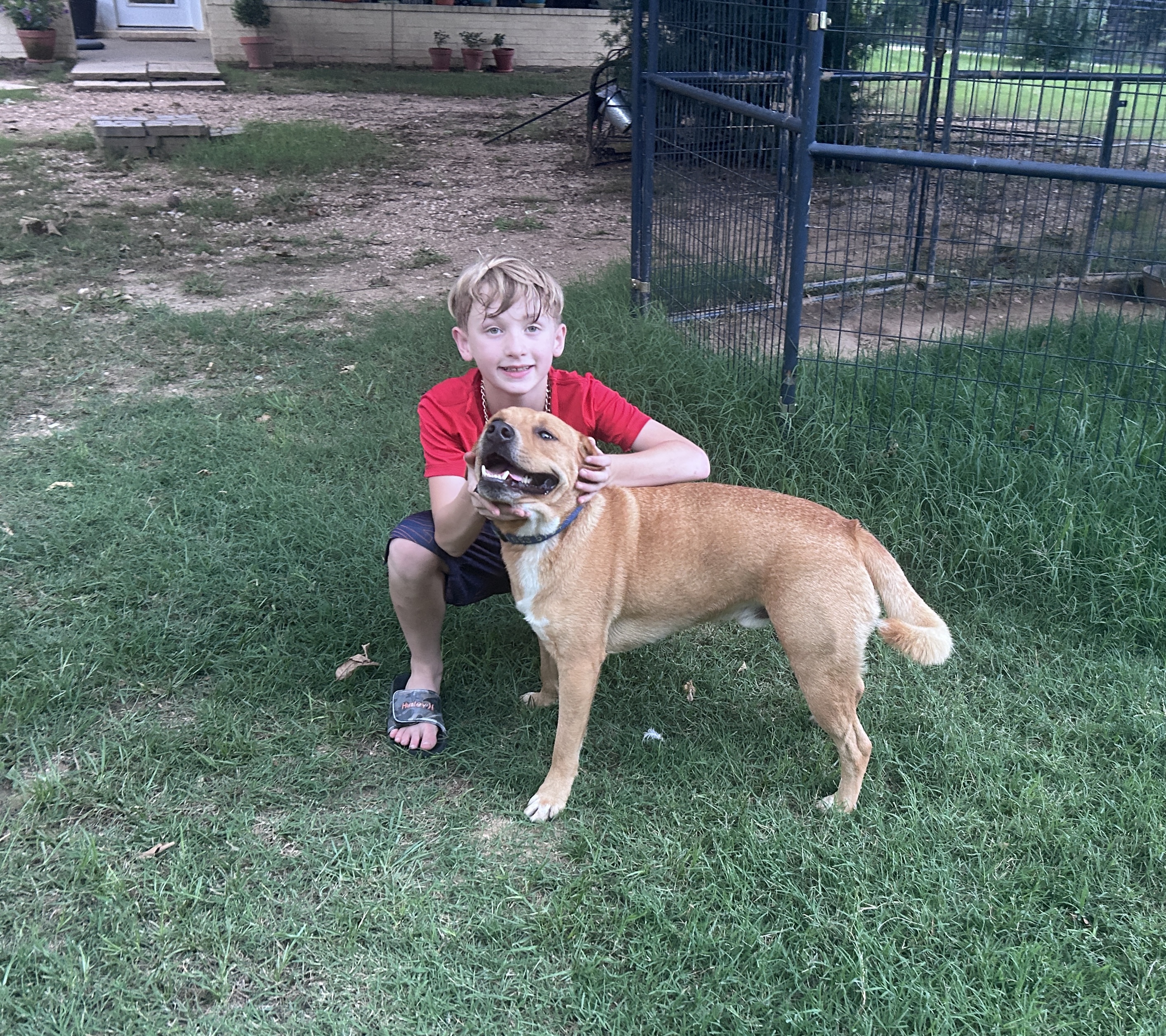 Fox with Grayson